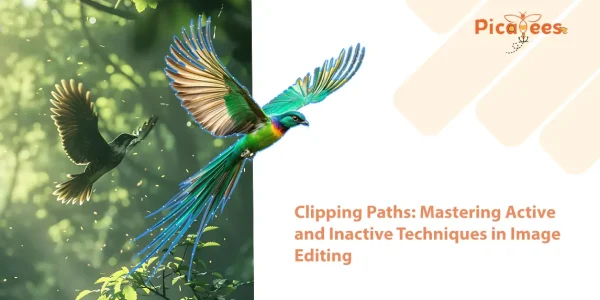 Clipping Paths: Mastering Active and Inactive Techniques in Image Editing